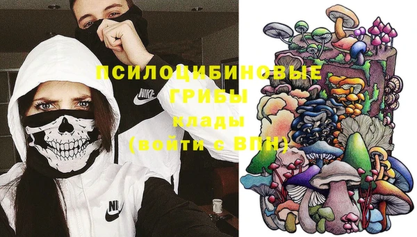 прущая мука Кинешма