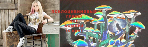прущая мука Кинешма