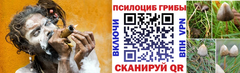 Псилоцибиновые грибы GOLDEN TEACHER Купить где Гаврилов-Ям